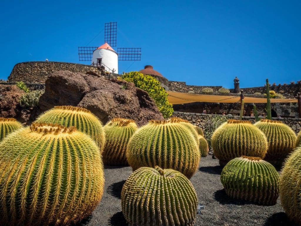 Beleef Lanzarote