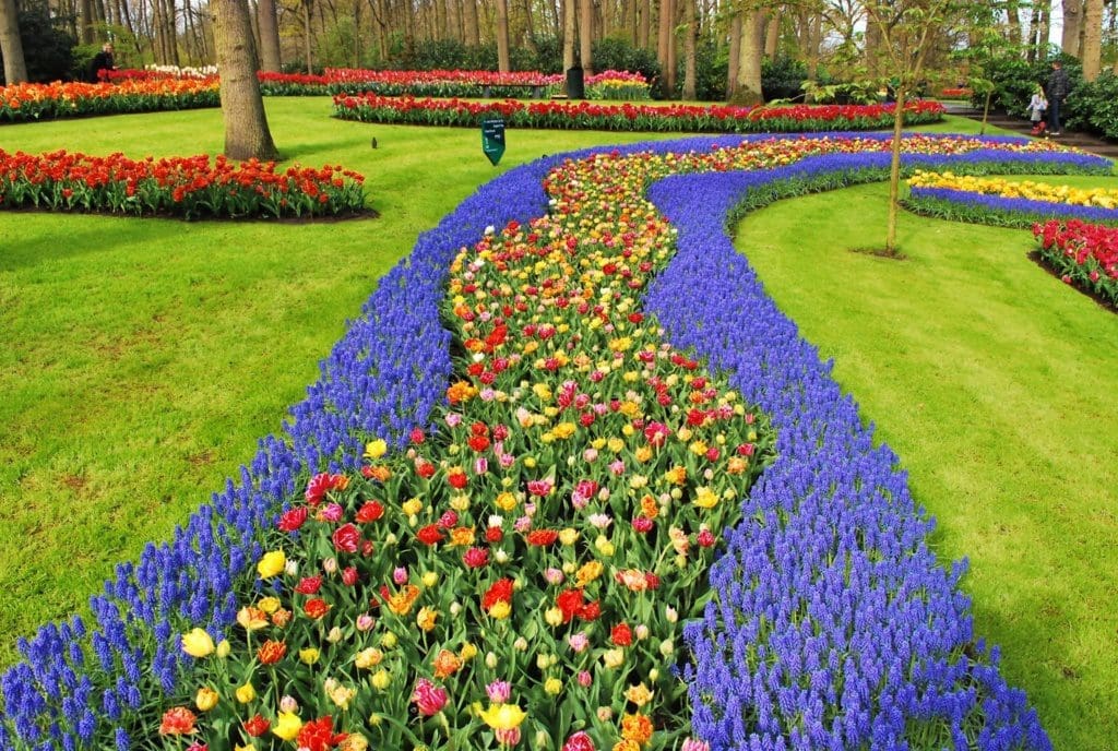 Keukenhof Lisse