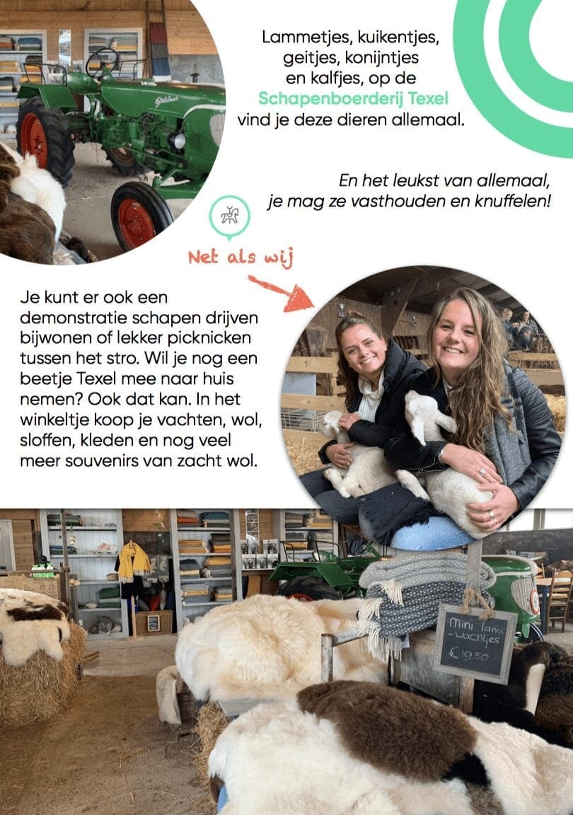 lammetjes boerderij texel