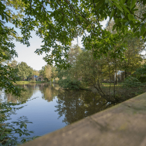 vakantiehuisje nl