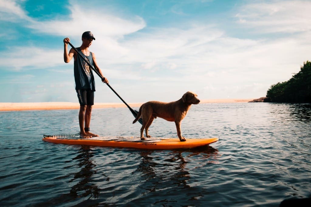 op vakantie met je hond