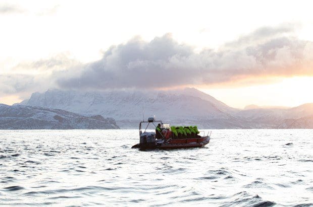 Winteractiviteiten in Tromsø