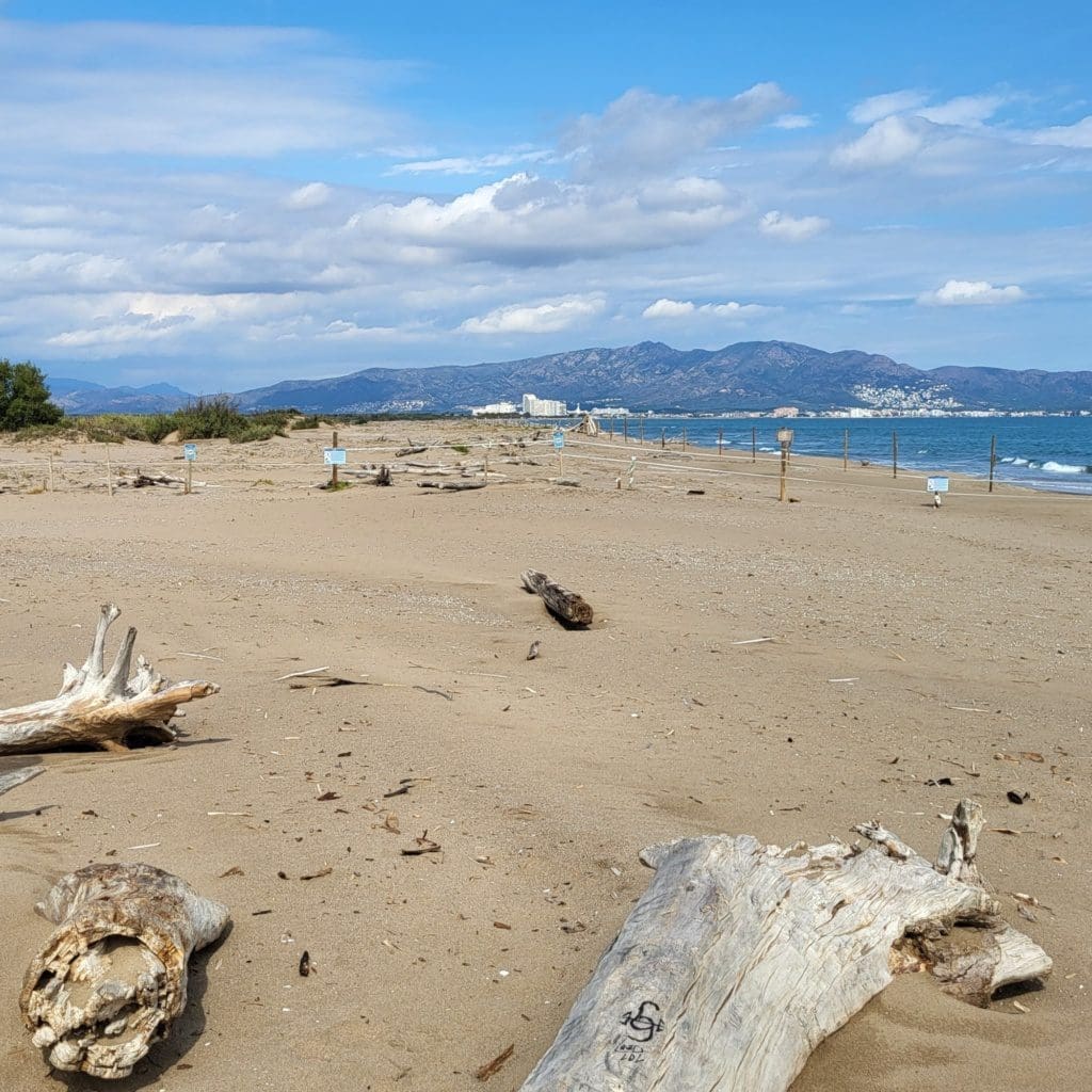 Strand aan eind van wandeling in Nationaal Park, Costa Brava