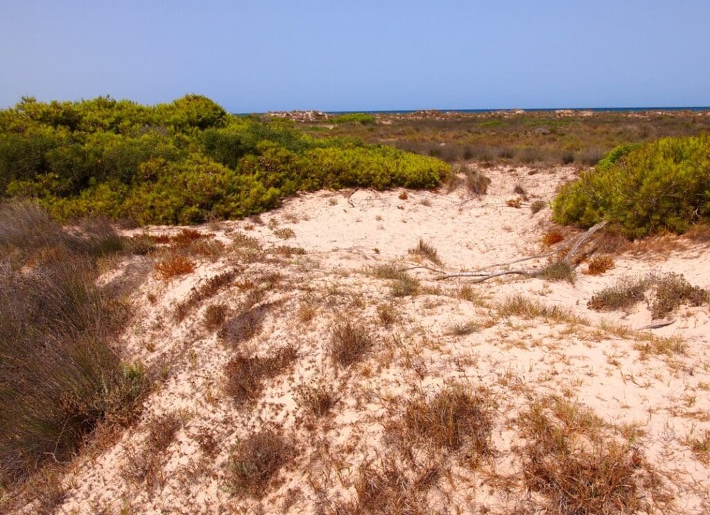 Strand en natuur van de Costa Blanca