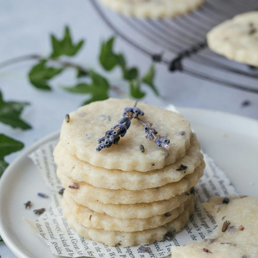 lavendelkoekjes