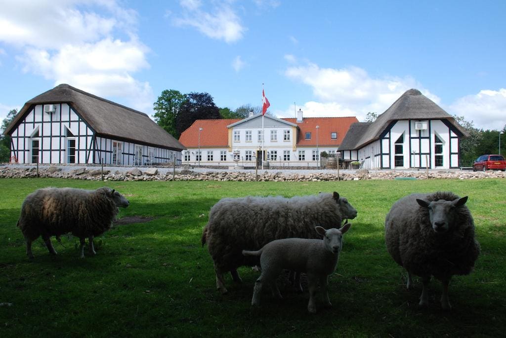 Herberg Fladbro Kro in Flanders, Denemarken. Handige tussenstop op de route naar Noorwegen.