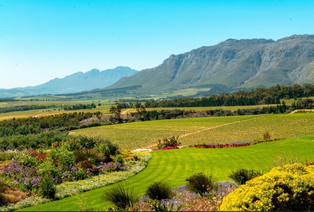 Prachtige natuur in omgeving Stellenbosch