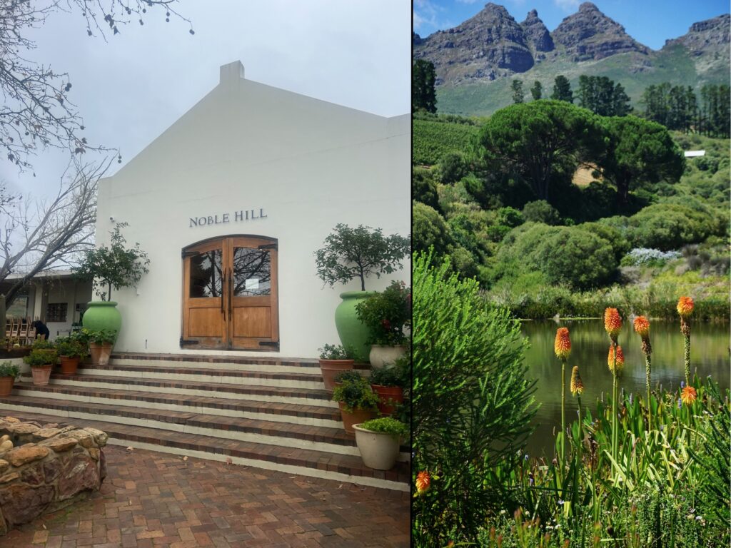 Omgeving Franschhoek Stellenbosch, wijngebieden in Zuid-Afrika