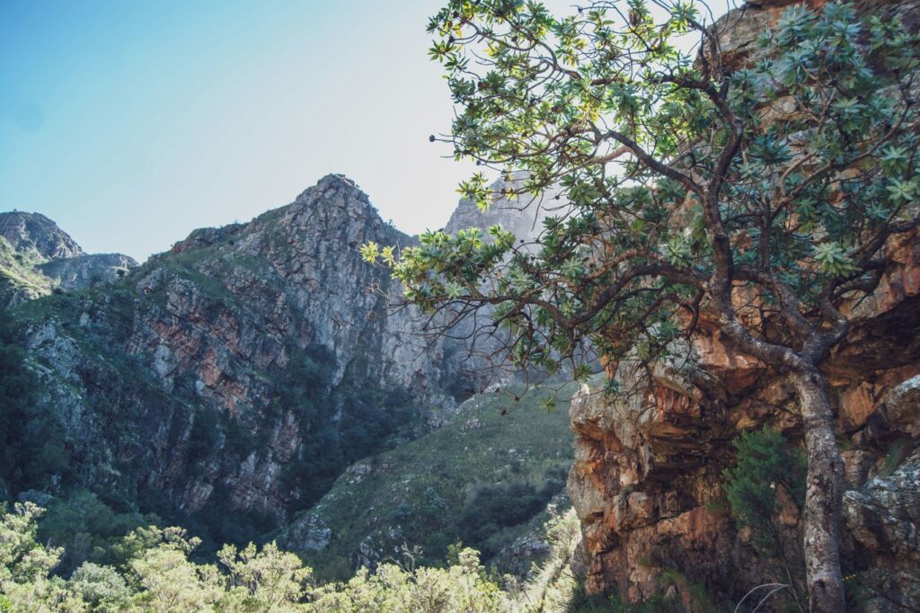 Paarl, de bekende granieten bergrots die de stad zijn naam geeft. Zuid-Afrika